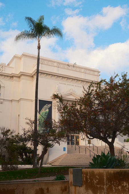 Creating Your Own Film Simulation Recipe for a Unique Look + Emulsion &rsquo;86, a Fujifilm X-T5 (X-Trans V) Film Simulation Recipe by&nbsp;Ritchie Roesch | Fujifilm X Series APS C sensor camera | Scoop.it