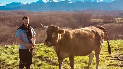 Ariège : Monjeta représentera la race Casta au Salon de l'Agriculture de Paris | Vallées d'Aure & Louron - Pyrénées | Scoop.it