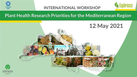 CIHEAM: Plant Health Research Priorities for the Mediterranean Region | CIHEAM Press Review | Scoop.it