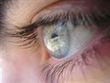 Diez de cada cien españoles padecen degeneración macular asociada a la edad | Salud Visual 2.0 | Scoop.it