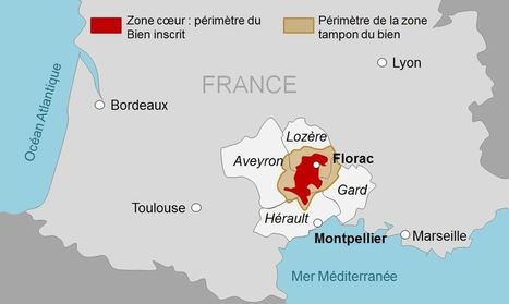 Rencontres internationales des acteurs de l'agro-sylvo-pastoralisme m&eacute;diterran&eacute;en | Biodiversit&eacute; | Scoop.it