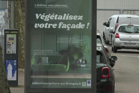 VIDÉO. Limoges : végétaliser les façades pour ramener de la biodiversité en milieu urbain et lutter contre les îlots de chaleur | Plusieurs idées pour la gestion d'une ville comme Namur | Scoop.it