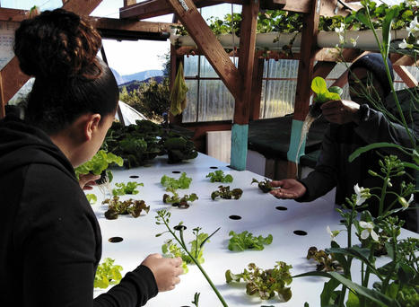 Dans les cuisines des projets alimentaires territoriaux | Am&eacute;nagement & d&eacute;veloppement &eacute;conomique. Urbanisme, foncier & Habitat | Scoop.it