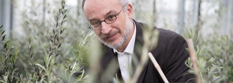 « Les plantes sont beaucoup plus intelligentes que les animaux » | La Sagesse de la Nature | Scoop.it