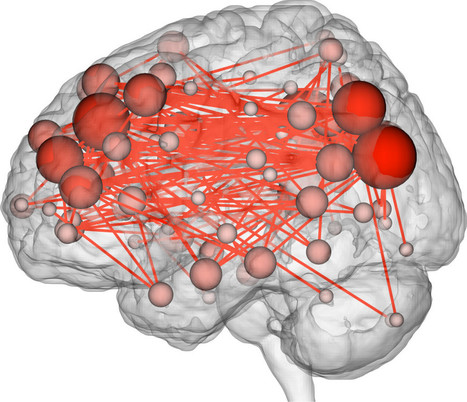 Scientists Can Now Predict Intelligence From Brain Activity | 21st Century Innovative Technologies and Developments as also discoveries, curiosity ( insolite)... | Scoop.it