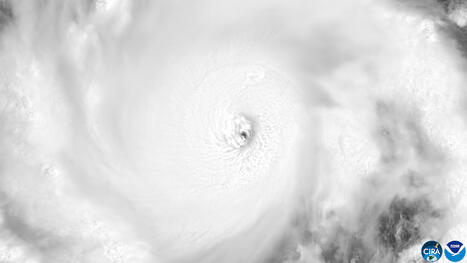 El Ni&ntilde;o continues to intensify, now with 75% chance of becoming strongest in history | Fox Weather | Operation Deimos | Scoop.it