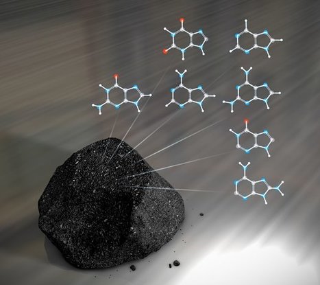 Proof that life came from outer space? | No Such Thing As The News | Scoop.it