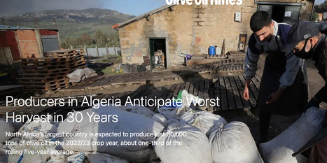 Producers in ALGERIA Anticipate Worst Harvest in 30 Years | CIHEAM Press Review | Scoop.it