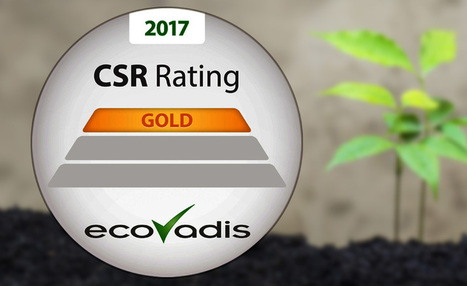 Cetup obtient la certification ECOVADIS Gold | Témoignages Clients EcoVadis | Scoop.it