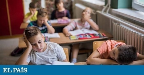 &ldquo;En la educaci&oacute;n tradicional, hasta los ni&ntilde;os que sacan buenas notas desconectan, pierden la curiosidad&rdquo; | Aprender y educar | Scoop.it
