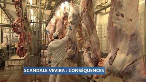 Belgique. L'impact de l'affaire Veviba en région liégeoise - RTC Télé Liège | La Gazette des abattoirs | Scoop.it