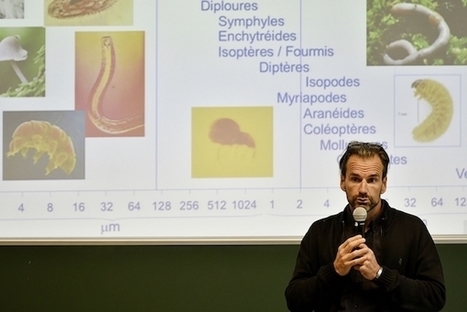 Le Congr&egrave;s Ecolo'Tech 2018 | EntomoScience | Scoop.it