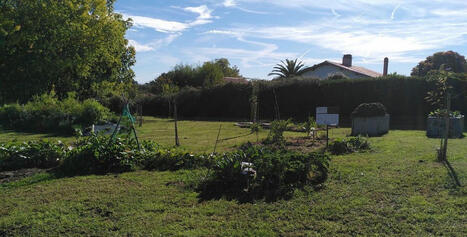 Saint-Martin-de-Seignanx : le jardin partagé participatif Montauby Grand Jean ouvre ses portes | Landes | Scoop.it