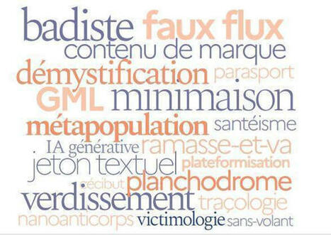 Rapport au Parlement sur la langue française | Savoirs de base, Illettrisme et FLE | Scoop.it