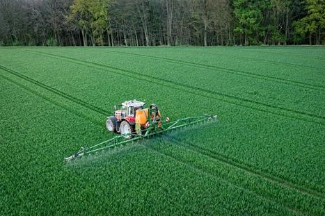 Utilisation professionnelle de produits phytopharmaceutiques&nbsp;: vers un registre au format &eacute;lectronique standardis&eacute; | L&eacute;gifrance | Pr&eacute;vention du risque chimique | Scoop.it