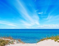 Sea + sun = happiness: science | CALM | Scoop.it