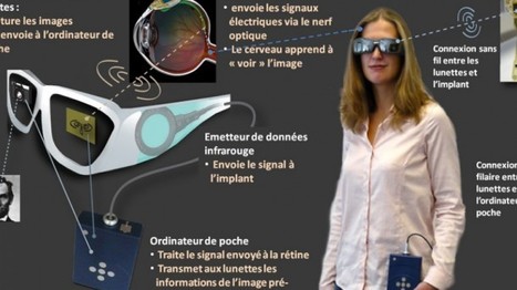 Implantan chips que devuelven la vista | Salud Visual 2.0 | Scoop.it