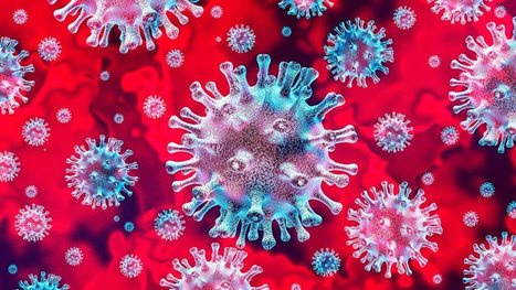 Científicos afirman que hay tres tipos de coronavirus que mutaron desde su origen en Wuhan | Bioquímica, Genomica y Salud | Scoop.it