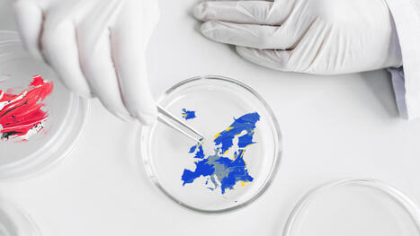 EU: How it can succeed in the next industrial race of fermented products | EUROPES | Scoop.it