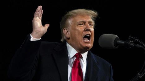 Twitter Permanently Bans Donald Trump - Variety.com | Operation Deimos | Scoop.it