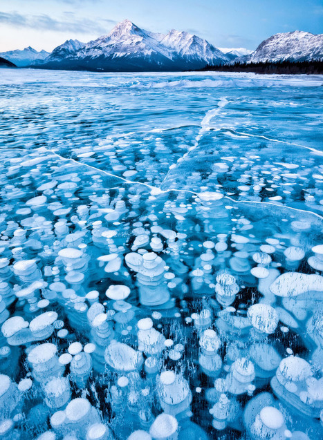 National Geographic Photo Contest 2011 - Alan Taylor - In Focus - The Atlantic | Reflejos | Scoop.it
