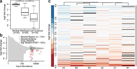 PLOS Biol: In vivo insertion pool sequencing identifies virulence factors in a complex fungal–host interaction (2018) | Plants and Microbes | Scoop.it