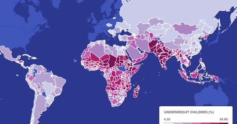 Where children go hungry in the world &mdash; in one alarming map | Food & Nutrition Security in East Africa | Scoop.it