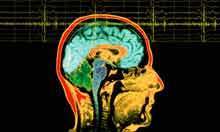 Immoral thoughts: how does the brain react? | Science News | Scoop.it