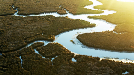 Watersheds and river basins: Here's why they are vitally important | Industry 411 - Waste Management | Scoop.it