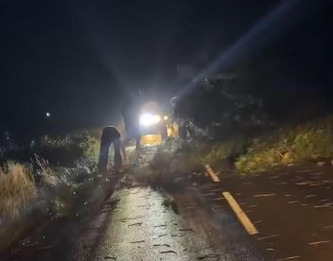 Violents orages dans Landes : deux femmes blessées par la chute d’un arbre, 170 pompiers mobilisés... Le point sur les dégâts | Actus du jour - 25 juin 2025 | Scoop.it