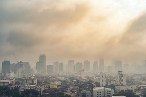 Coronavirus : la pollution de l’air est un « facteur aggravant », alertent médecins et chercheurs | EntomoNews | Scoop.it