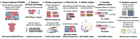 Diverse bacterial pattern recognition receptors sense the conserved phage proteome | brvsys | RMH | Scoop.it