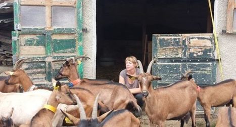 Le champ des possibles pour Am&eacute;lie en vall&eacute;e d'Aure | Vall&eacute;es d'Aure & Louron - Pyr&eacute;n&eacute;es | Scoop.it