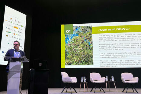 Olive Oil World Congress Segunda Edición se celebrará en Lisboa en 2026 | OLIVE NEWS | Scoop.it