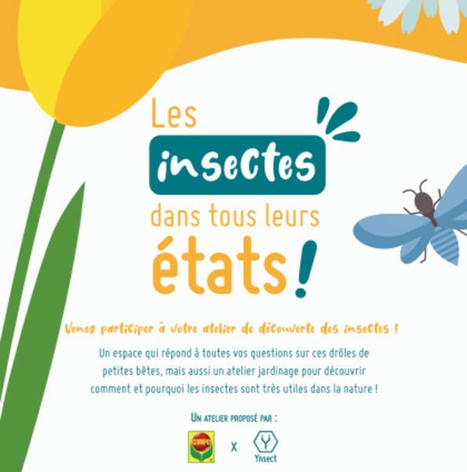 Les insectes dans tous leurs états ! Paris Expo Porte de Versailles Paris samedi 26 février 2022 | Variétés entomologiques | Scoop.it