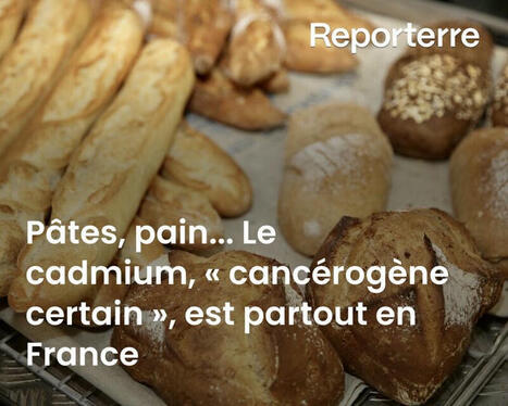 FRANCE : On en trouve dans les céréales du petit-déjeuner, le pain, les pâtes, les…  | CIHEAM Press Review | Scoop.it