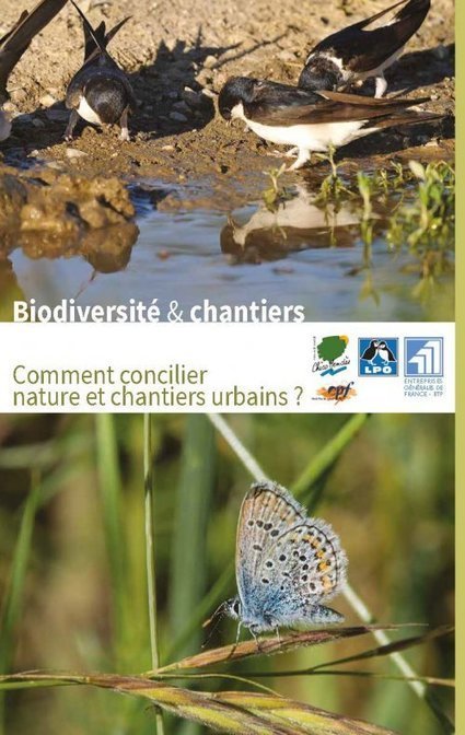 Guide « Biodiversité et chantiers » Urbanisme, bâti & Biodiversité | Biodiversité | Scoop.it