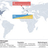 AUTOIMMUNITY