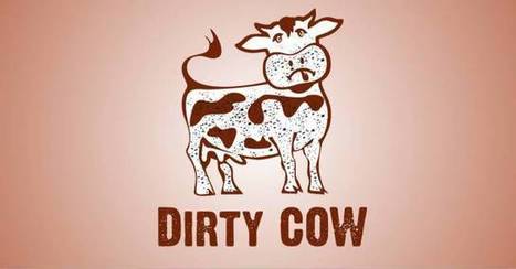 Linux kernel bug: DirtyCOW “easyroot” hole and what you need to know | #CyberSecurity | #Update asap!!! | ICT Security-Sécurité PC et Internet | Scoop.it