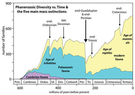 There have been five mass extinctions in Earth&rsquo;s history. Now we&rsquo;re facing a sixth. | Random Stuff and Current Events | Scoop.it