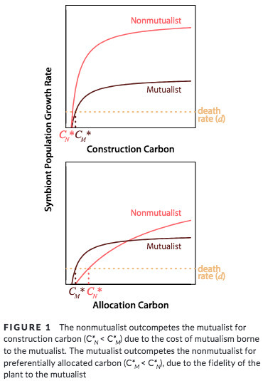 Carbon allocation and competition maintain variation in plant root mutualisms - Christian - - Ecology and Evolution - Wiley Online Library | RMH | Scoop.it