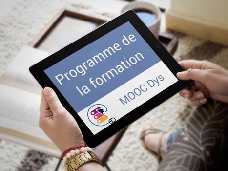 programme de la formation en ligne | Revolution in Education | Scoop.it