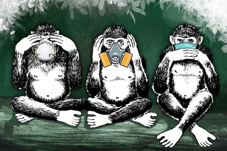 Coronavirus: N95, surgical face mask or DIY? Experts say &lsquo;something better than nothing&rsquo; | Covid Report | Scoop.it