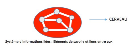 ANALYSE / Compr&eacute;hension et m&eacute;moires: ce qu'en disent les neurosciences cognitives | Innovation et transformation p&eacute;dagogique | Scoop.it