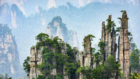 Viral videos prompt mass cleanup of caves near China’s famed ‘Avatar’ mountains | 1Uutiset - Lukemisen tähden | Scoop.it