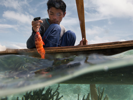 Borneans Live and Die by the Ocean | The Plate | The Asian Food Gazette. | Scoop.it