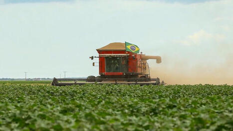 BRAZIL: Its debt with Africa can be paid with agricultural tech according to Lula  | AMÉRIQUES | Scoop.it