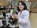 Human stool treatment upends race to treat colon germ | Longevity science | Scoop.it