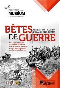 Exposition "Bêtes de guerre" : les animaux au coeur du conflit 14-18 | Ville de Marseille | Autour du Centenaire 14-18 | Scoop.it