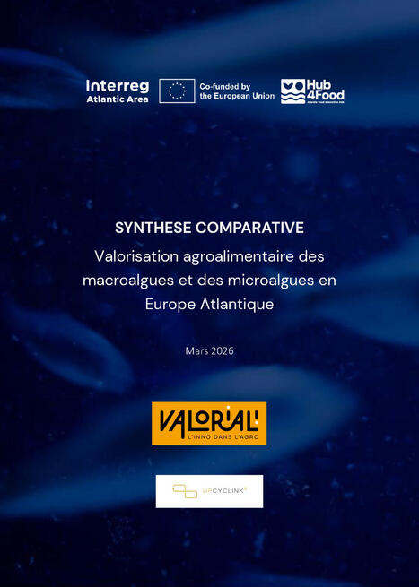L'&eacute;tude th&eacute;matique "Macroalgues/microalgues en Europe Atlantique : &eacute;tat des lieux, optimisation de la cha&icirc;ne de production, march&eacute;" est disponible ! | Pour innover en agriculture | Scoop.it